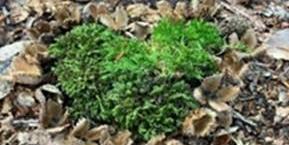 Resilienz.jpg_1435012078