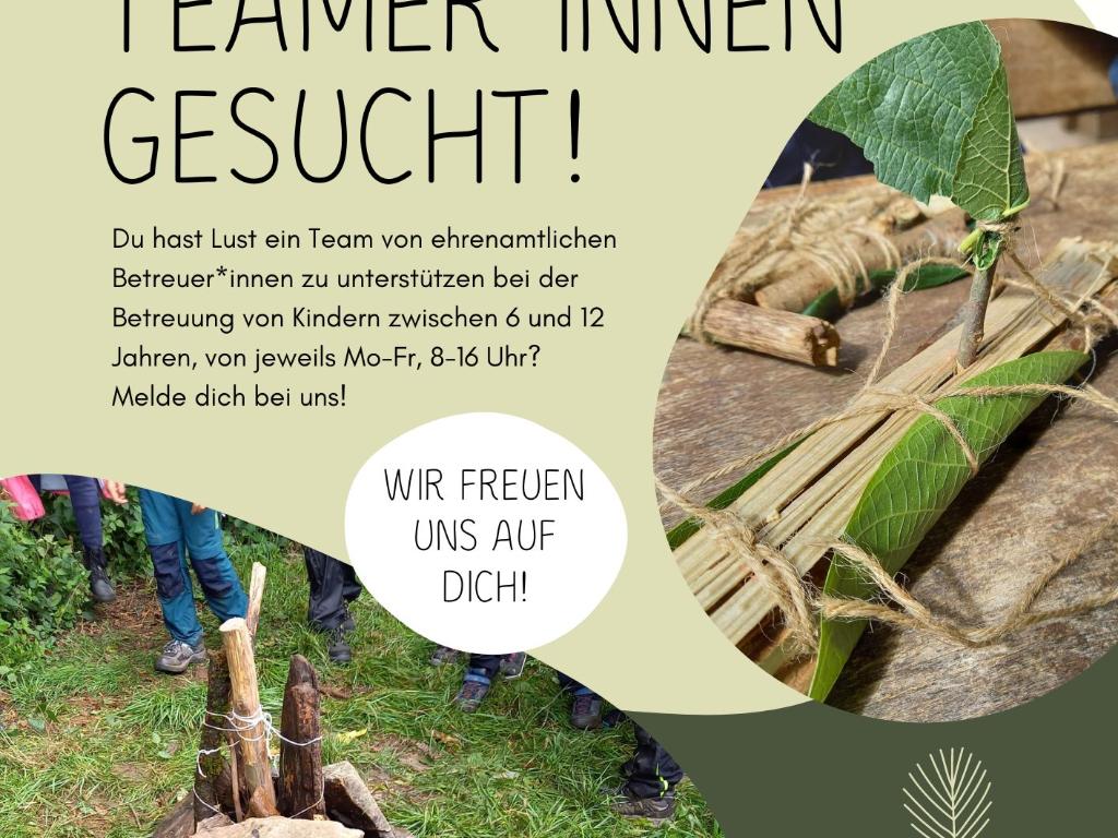 TeamerInnen Waldferientage gesucht!